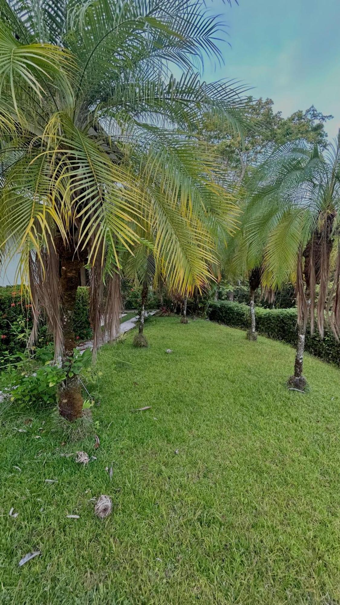 Villa Vista Mar Dominical Extérieur photo